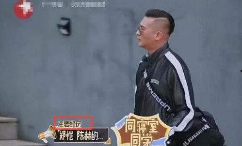 郑恺爆料杜江两娃视频播放,视频播放引发网友热议 第1张 郑恺爆料杜江两娃视频播放,视频播放引发网友热议 第1张